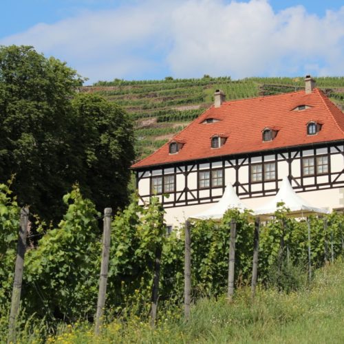 Hoflößnitz in den Weinbergen